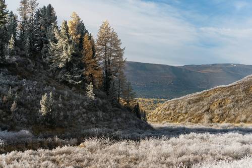 Pro счастье фотографа