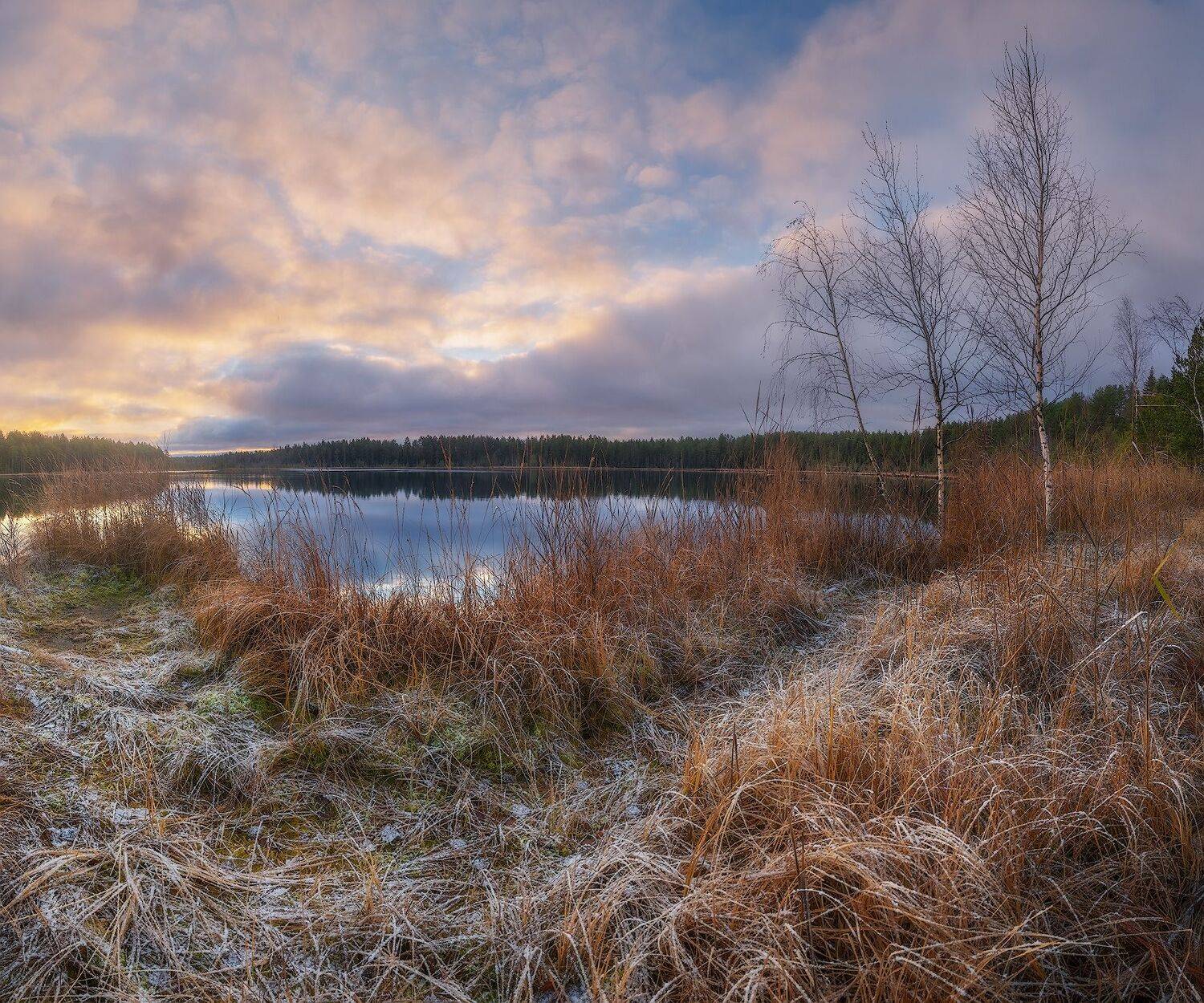 ленобласть, осень, природа, Алексей Марголин