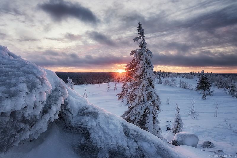 на рассвете фото превью