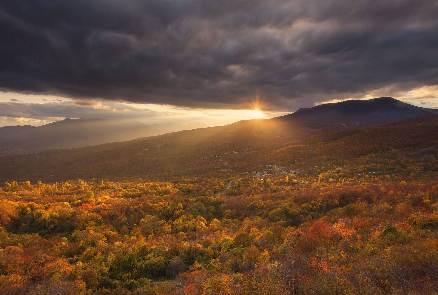 крым, алушта, горы, демерджи, осень, пейзаж, осенний пейзаж, лес, деревья, Екатерина Дмитренко