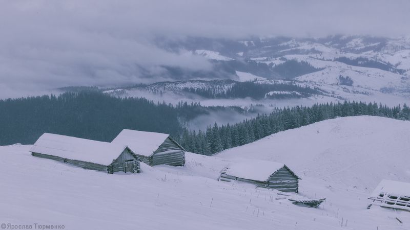 *** фото превью