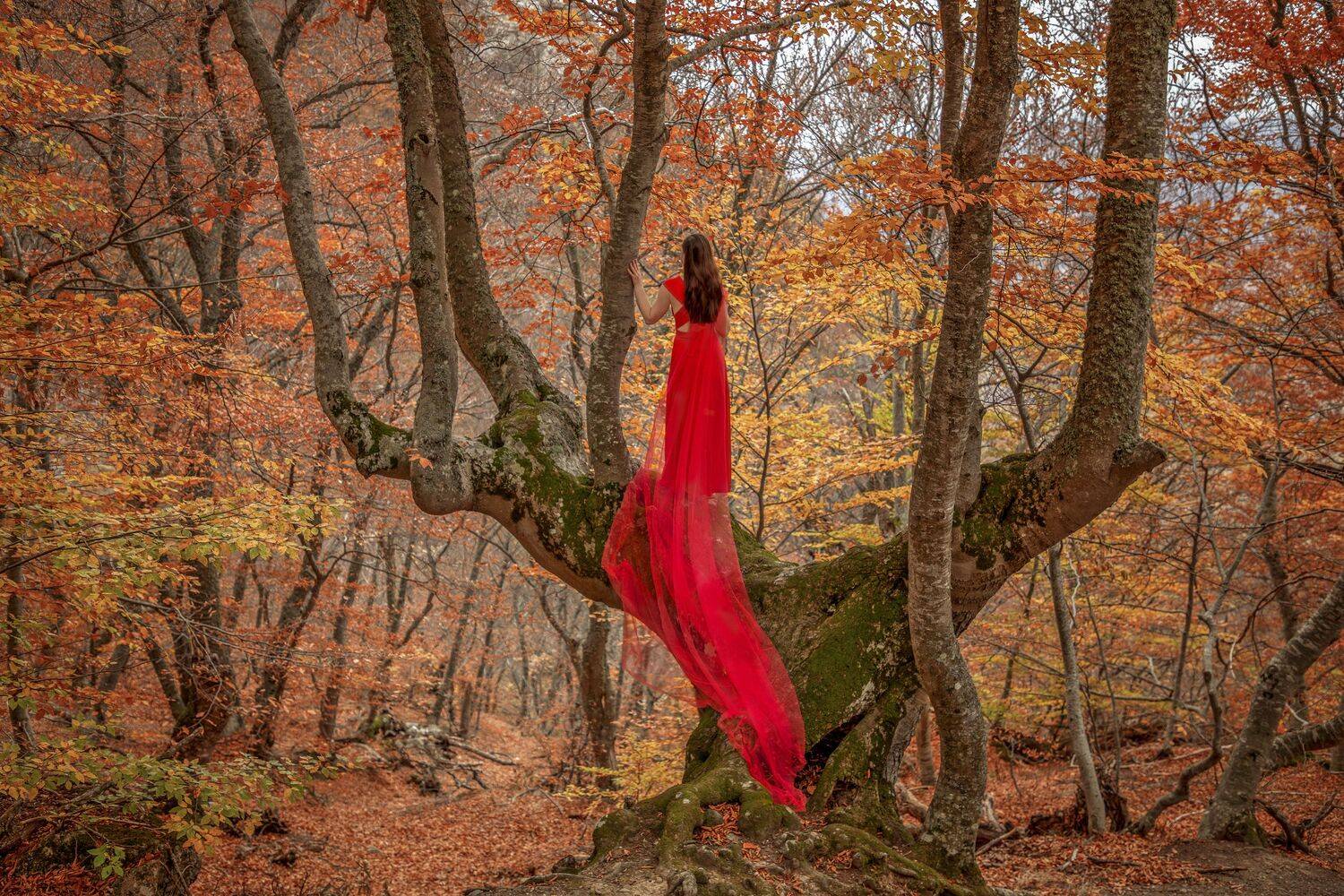 , Елена Гусева