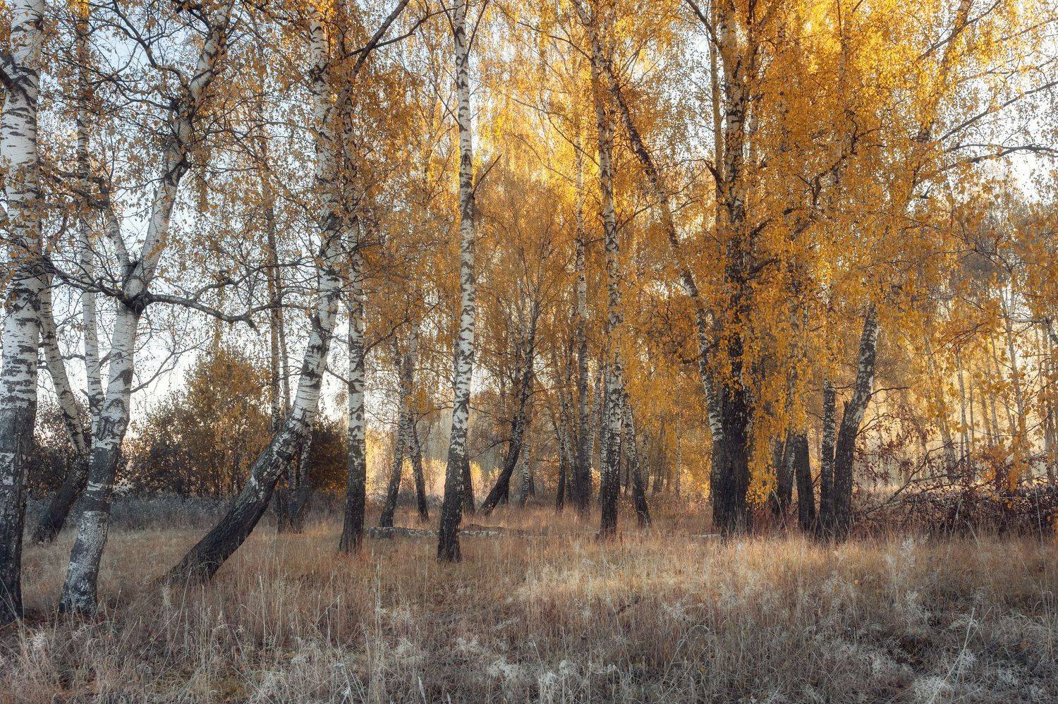 , Мозжухин Максим