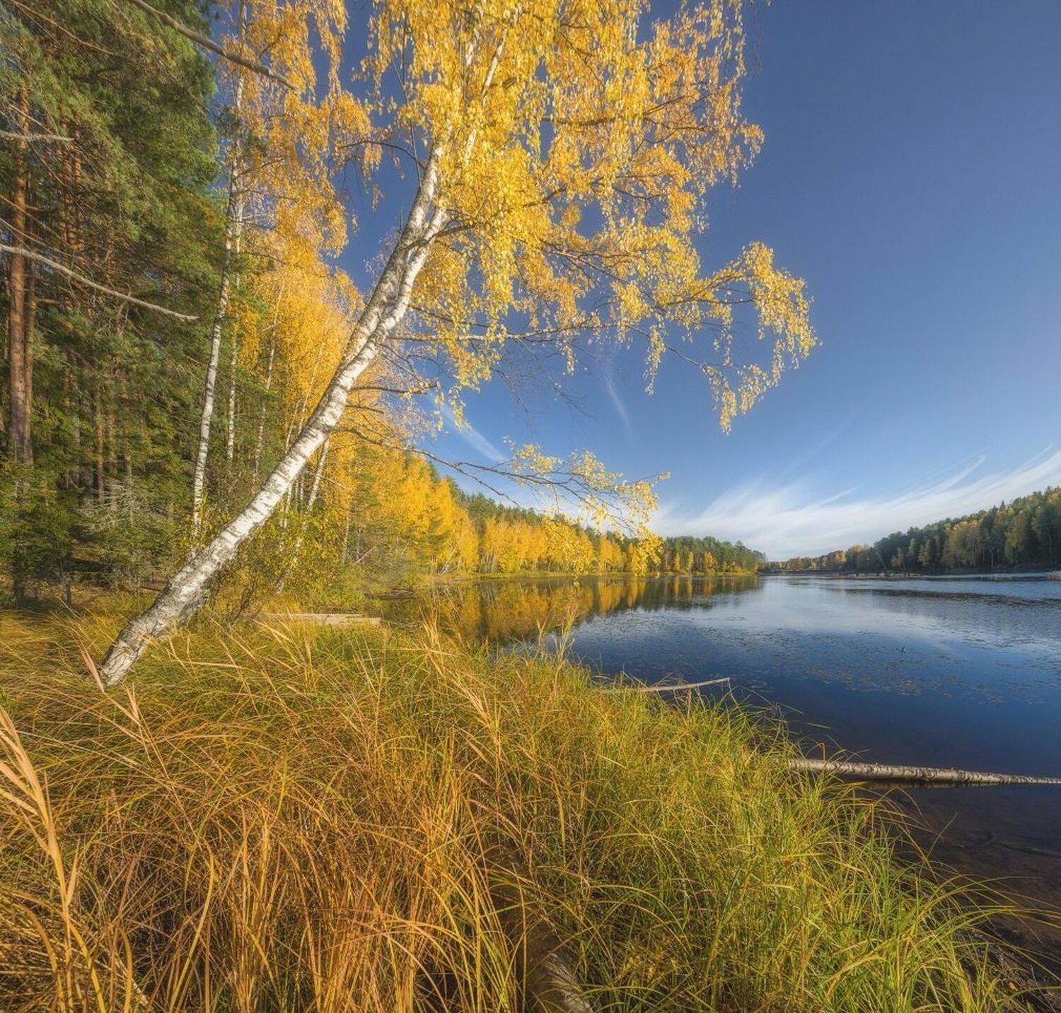 , Устюжанин Михаил