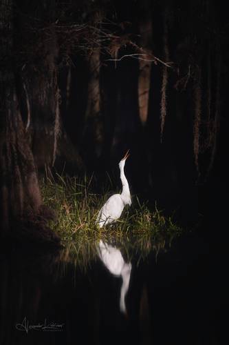 Ода Рассвету...