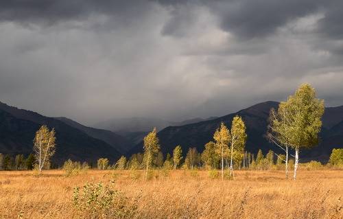 Перед грозой