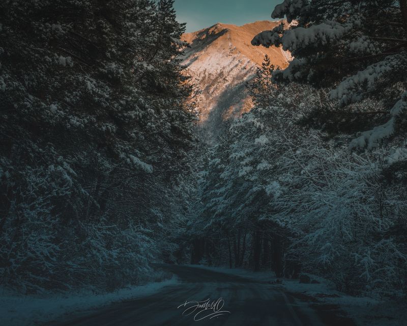 Зимний Цей. фото превью