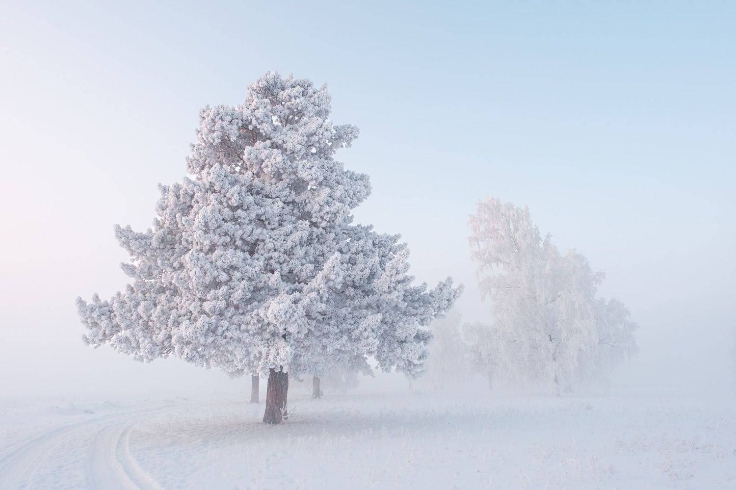 зима, зимний пейзаж, пейзаж ,снег, мороз, туман, winter, fujifilm, Константин Леонтьев