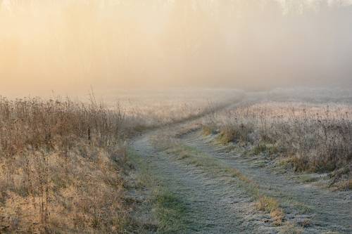Встреча с ноябрем