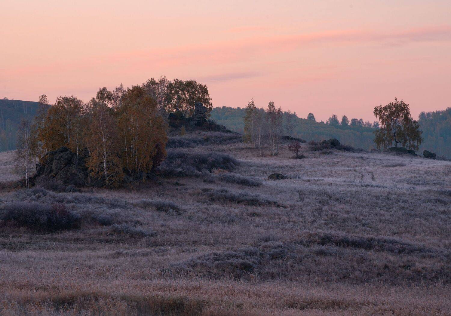 , Максим Ватрушкин