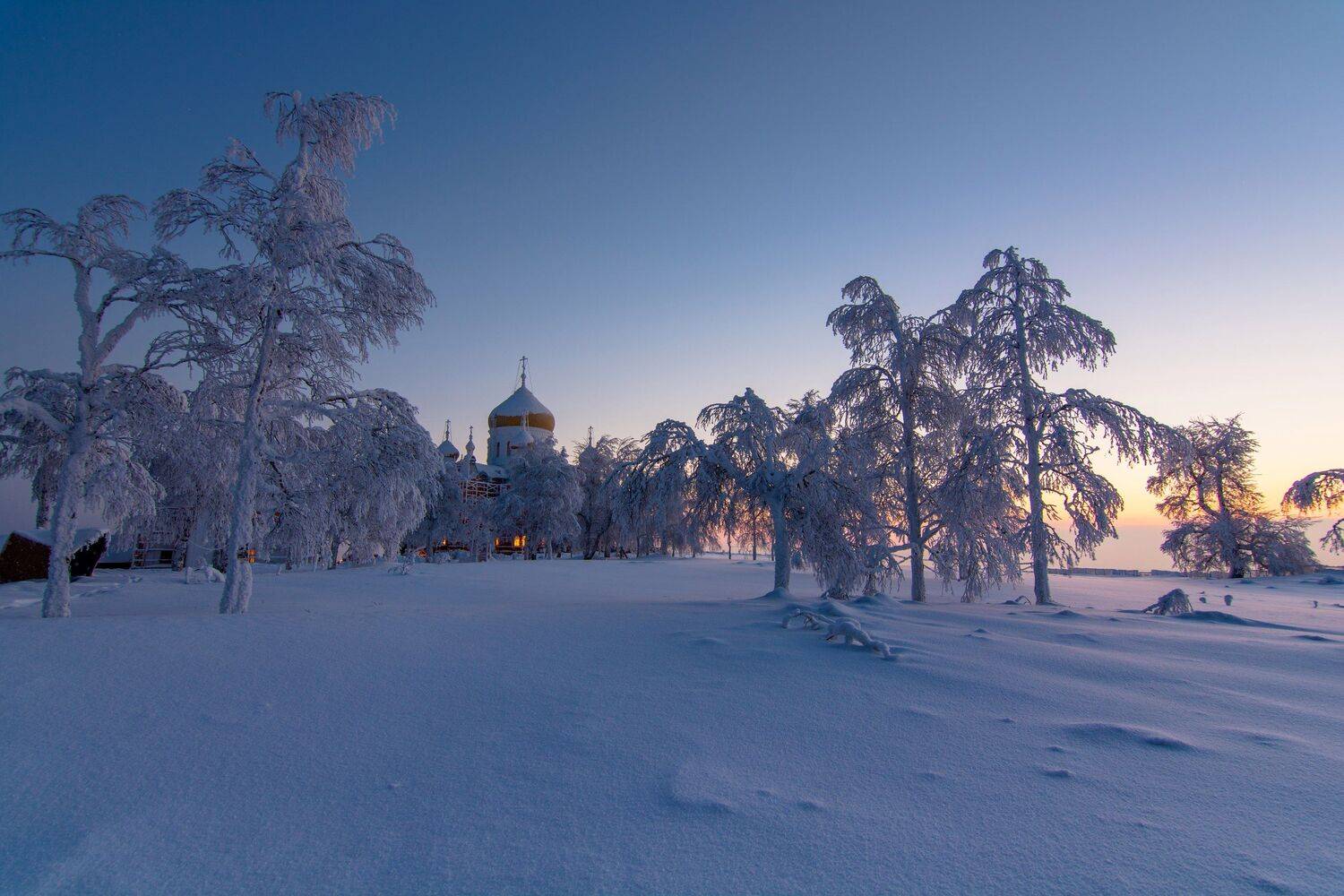 , Максим Ватрушкин