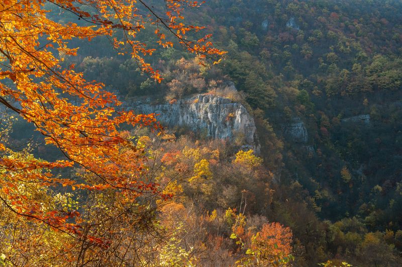 В конце осени фото превью