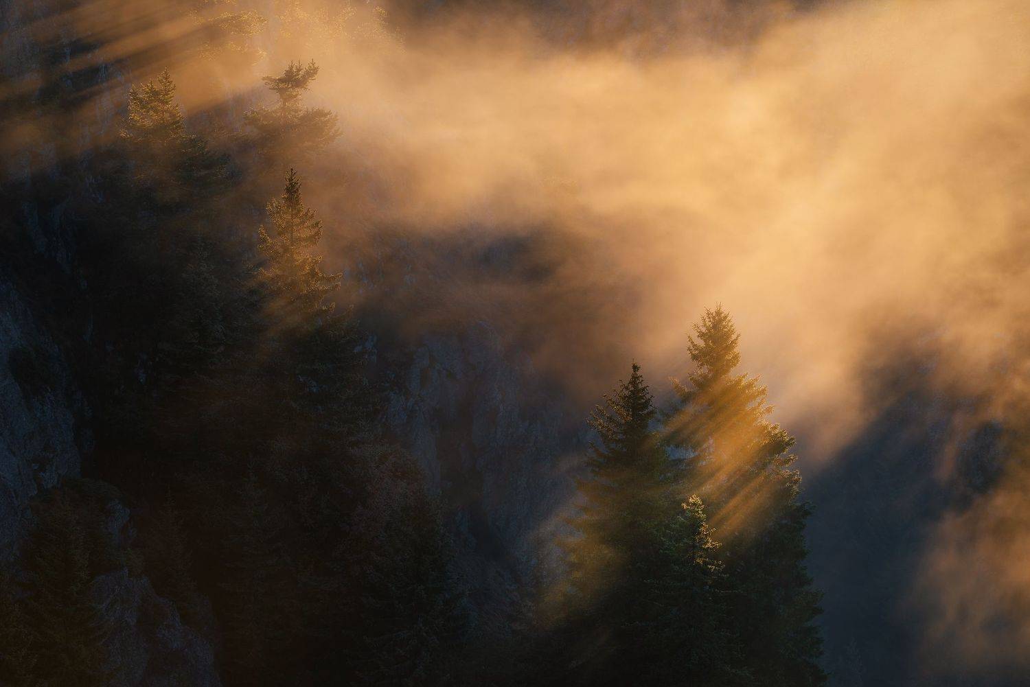 , Szabo Zsolt Andras