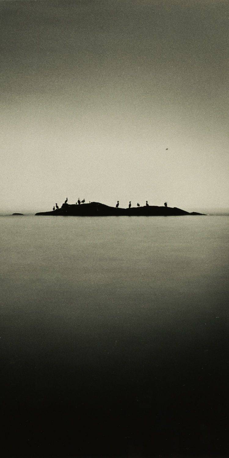 filmphotography, analogphotography, darkroomphotography, silvergelatineprint, b&w, blackandwhite, Aleksandr Osokin