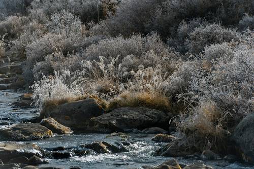 Счастье фотографа крупным планом