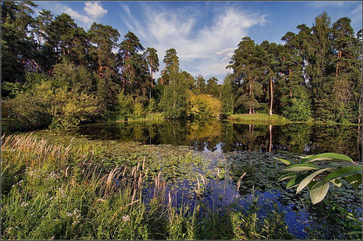 москва, осень, озеро, лес, отражение, АНАТОЛИЙ ДОВЫДЕНКО