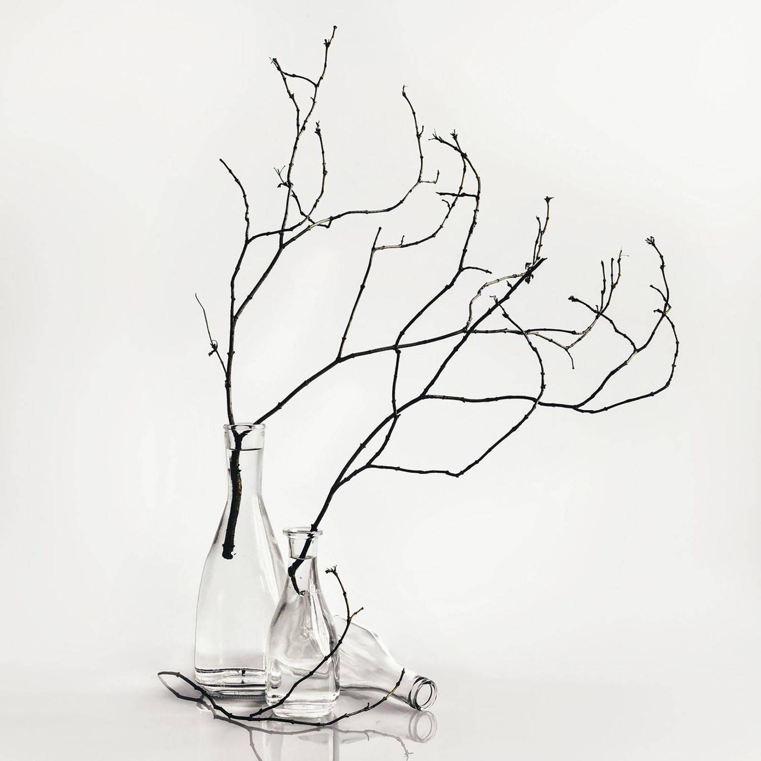 , MVO (Марк Орлов)