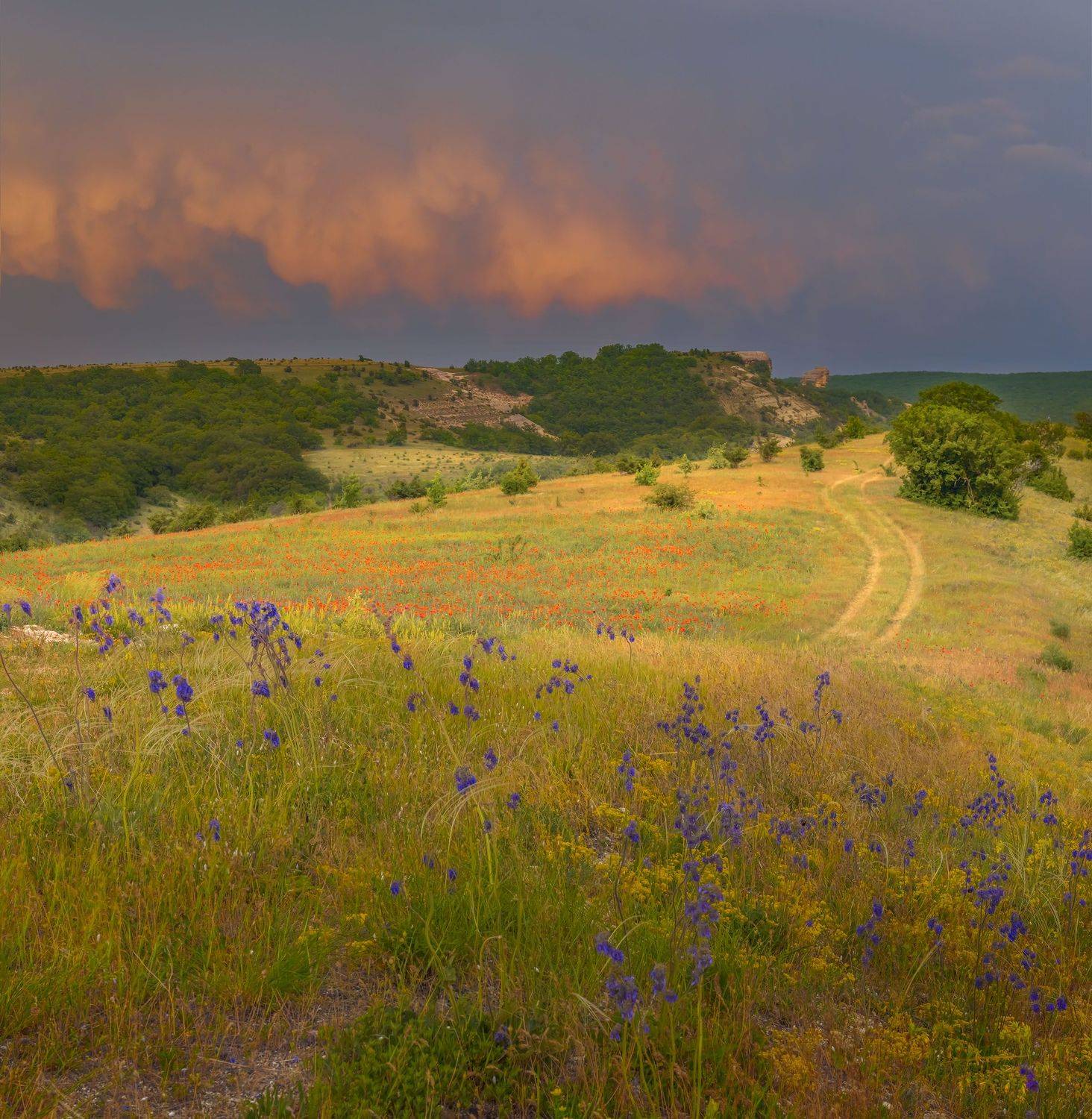 Фототуры с Владимиром Рябковым,  #Крым #Crimea #crimea_life #topnature #russpasibo #magic_shots #lovelyRussia #sunset_vision #exclusive_sky  #exclusive_shots #loves_russia2 #photoarena_nature #nature_sultans #nature_perfection #rsa_sky #rsa_sunset #photor, Владимир Рябков