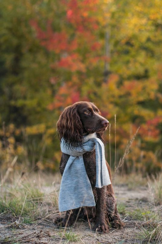 Холодает фото превью