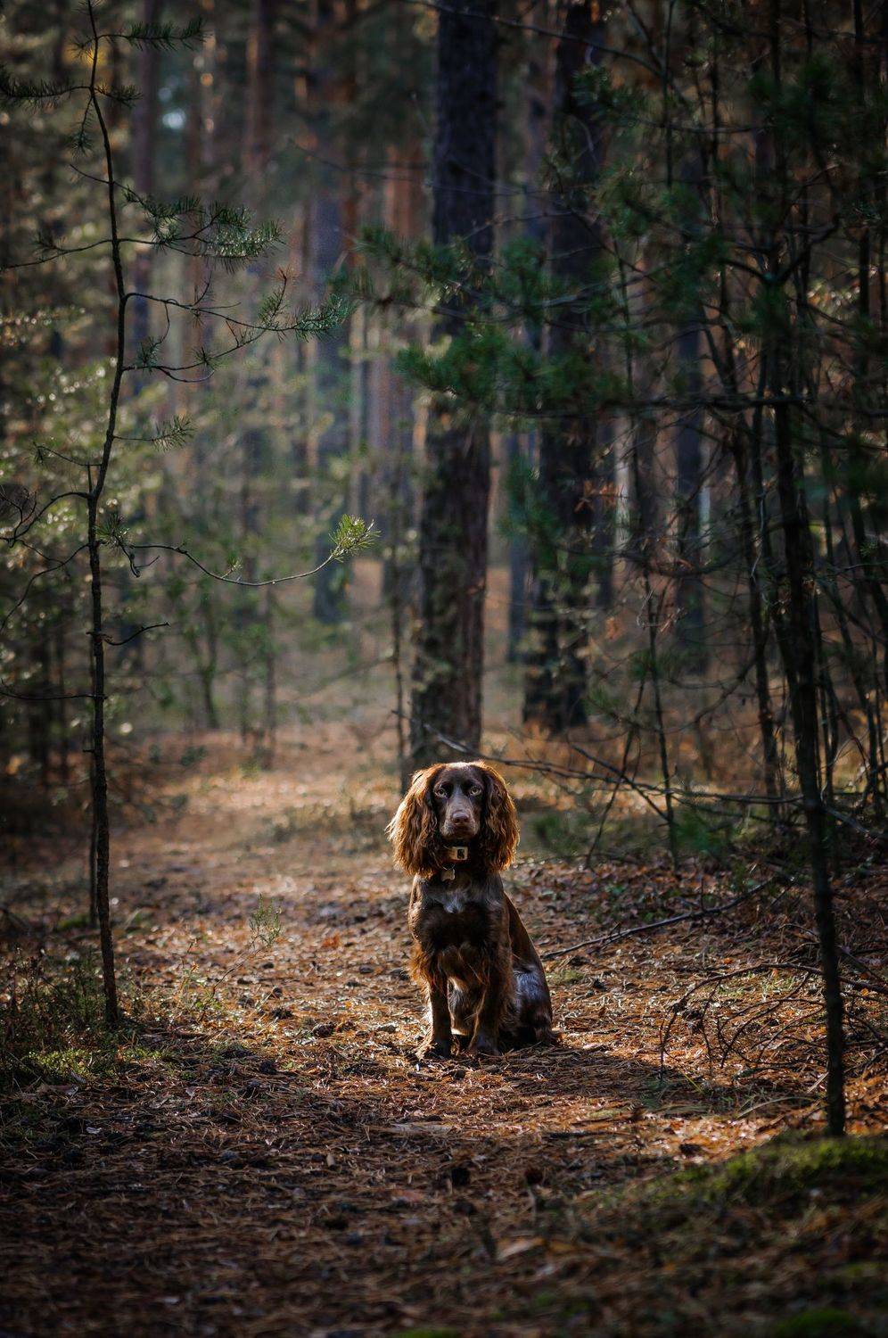 , Зуйкова Динара