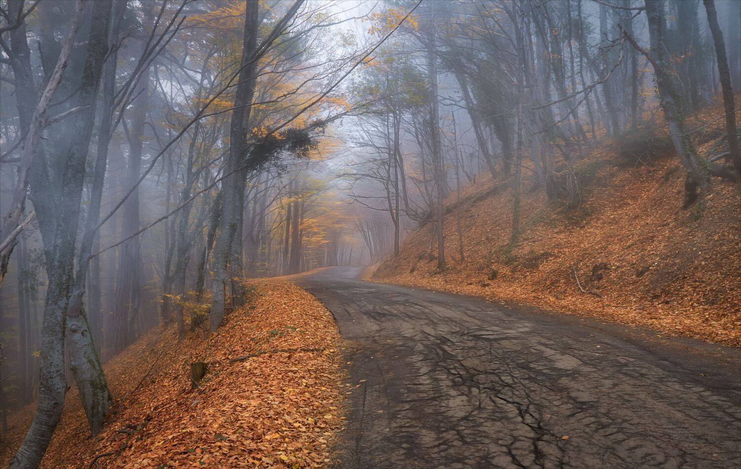 , Алексей Богорянов