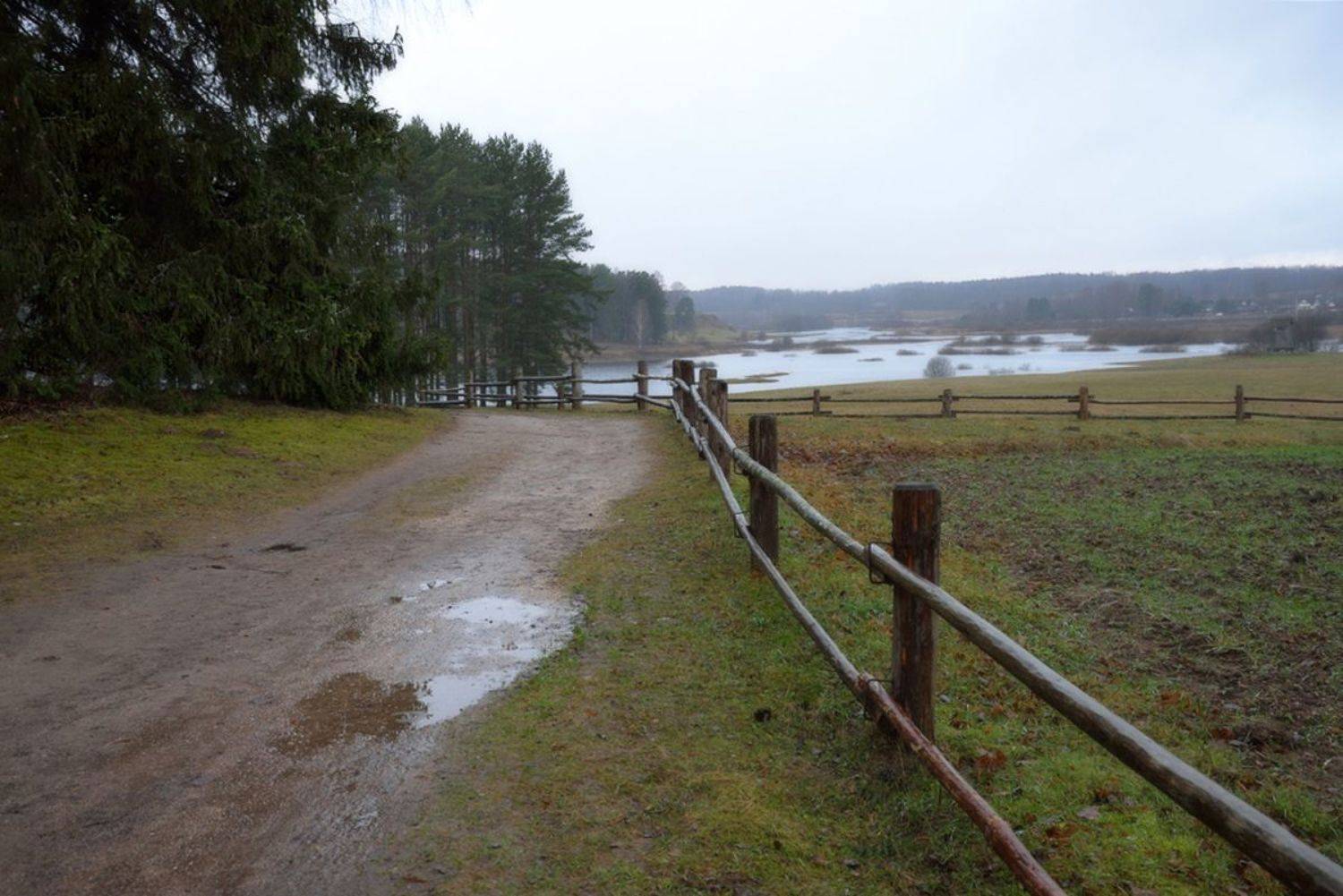 пейзаж,михайловское,пушгоры,зима_2020,псковщина, Наталия К