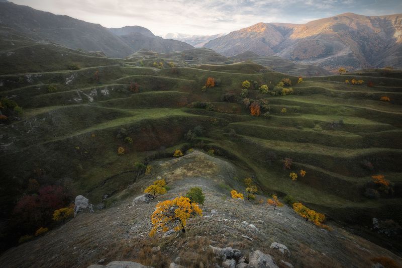 Рассекая волны фото превью
