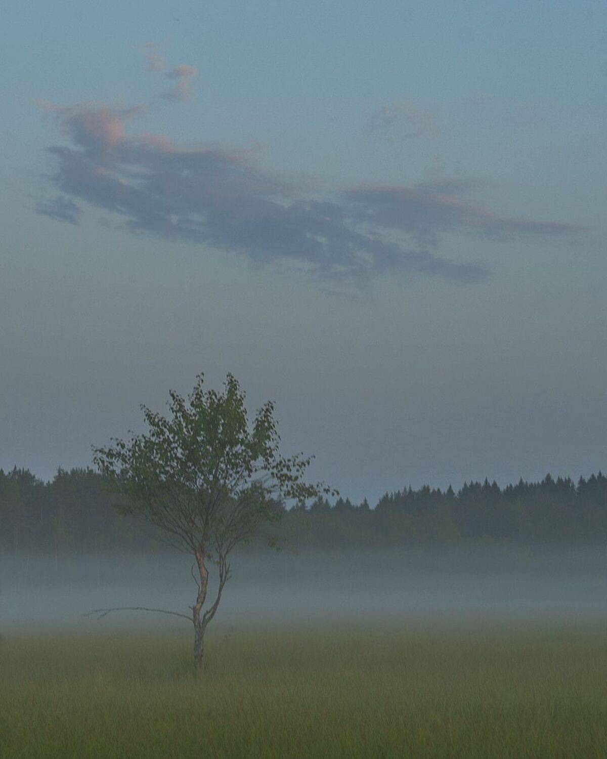 , Петр Косых