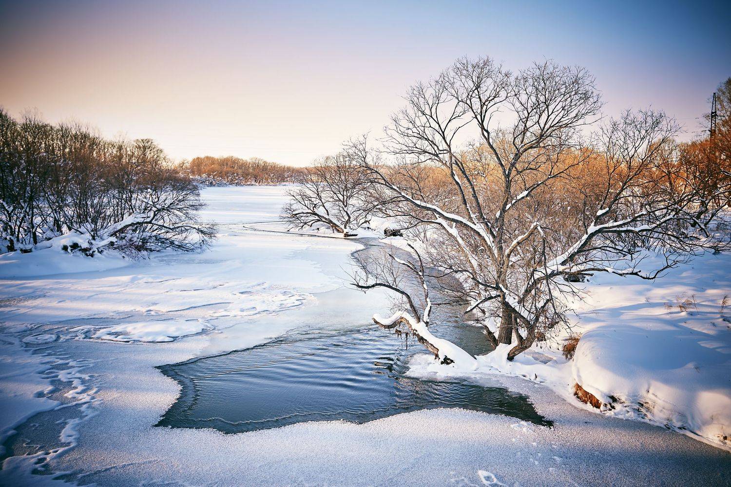 , Юрий Журавлев