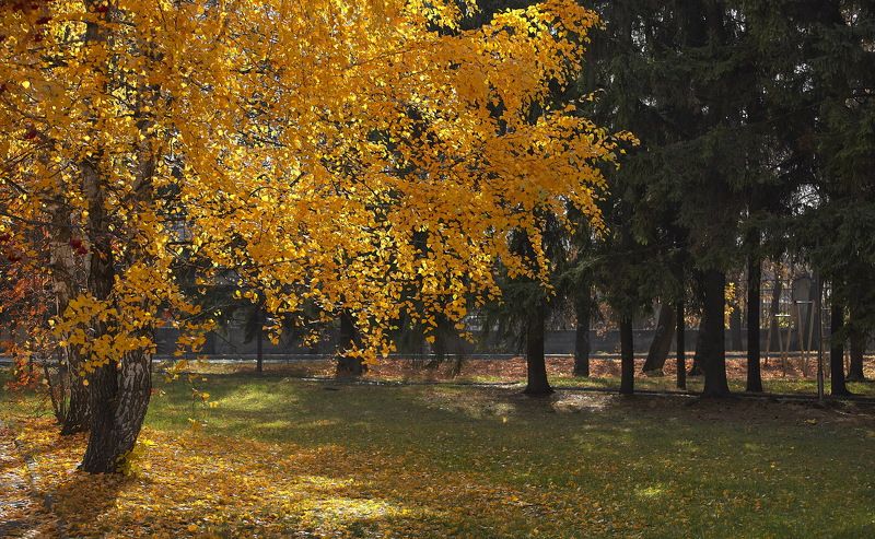 Осень золотая фото превью