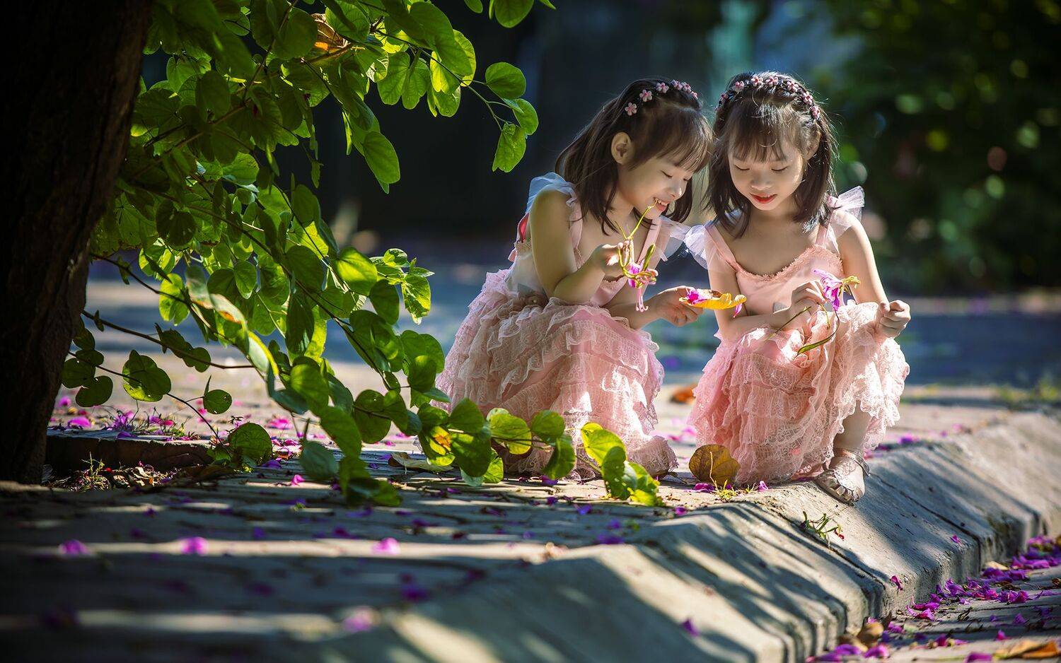 , Nguyễn Ho&agrave;ng Long