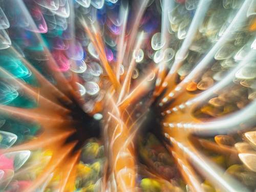 Сказочная крылатка