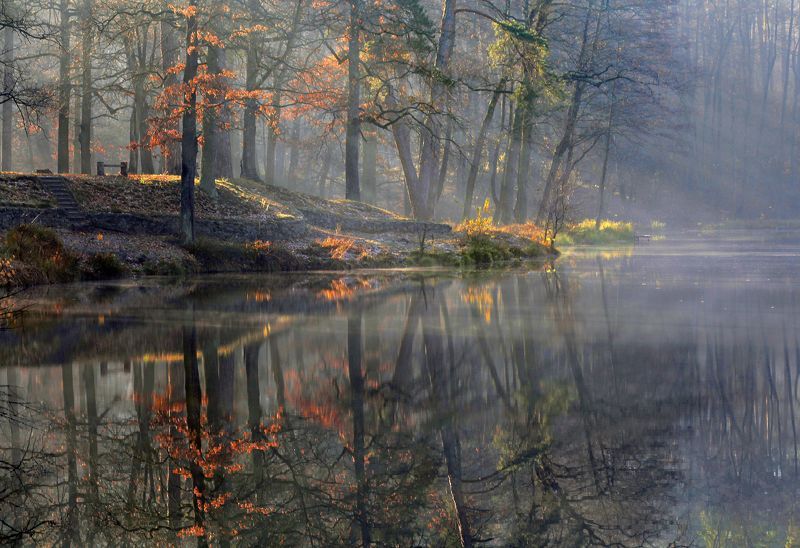 Отражение осени фото превью