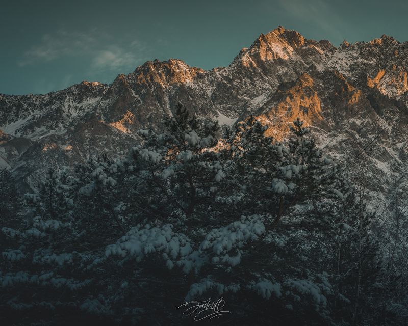 осетия, зима, снег, горы, сосна, природа, пейзаж, день Зимняя сказка. фото превью