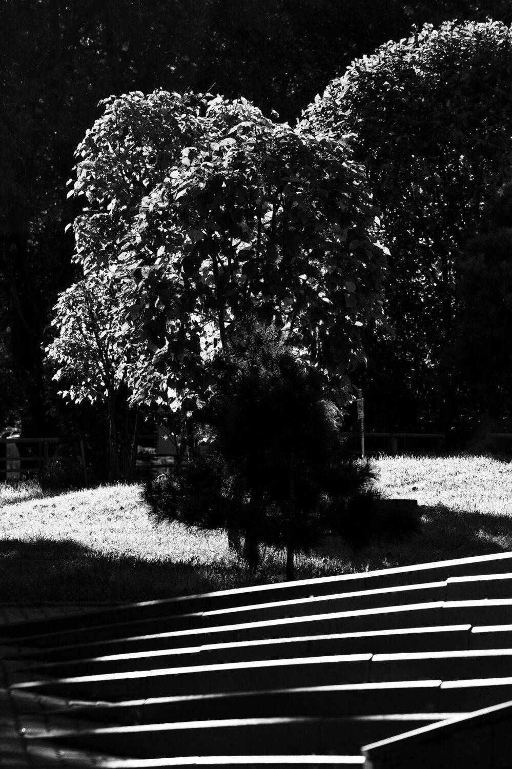 , Михаил Байбородин