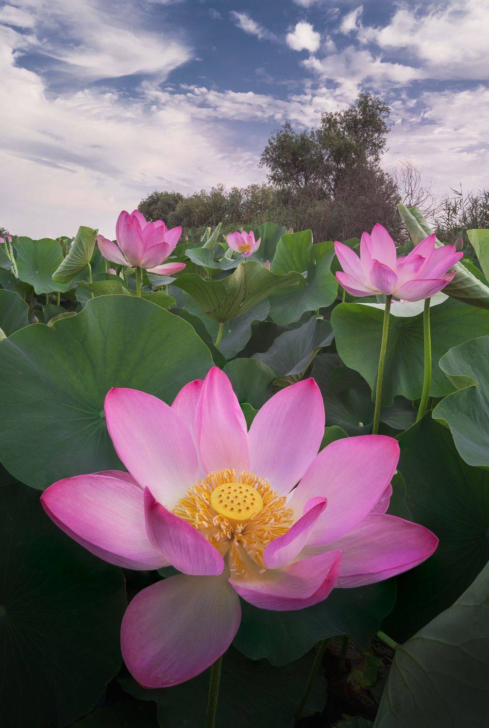 Волга, Астрахань, Даниил Коржонов