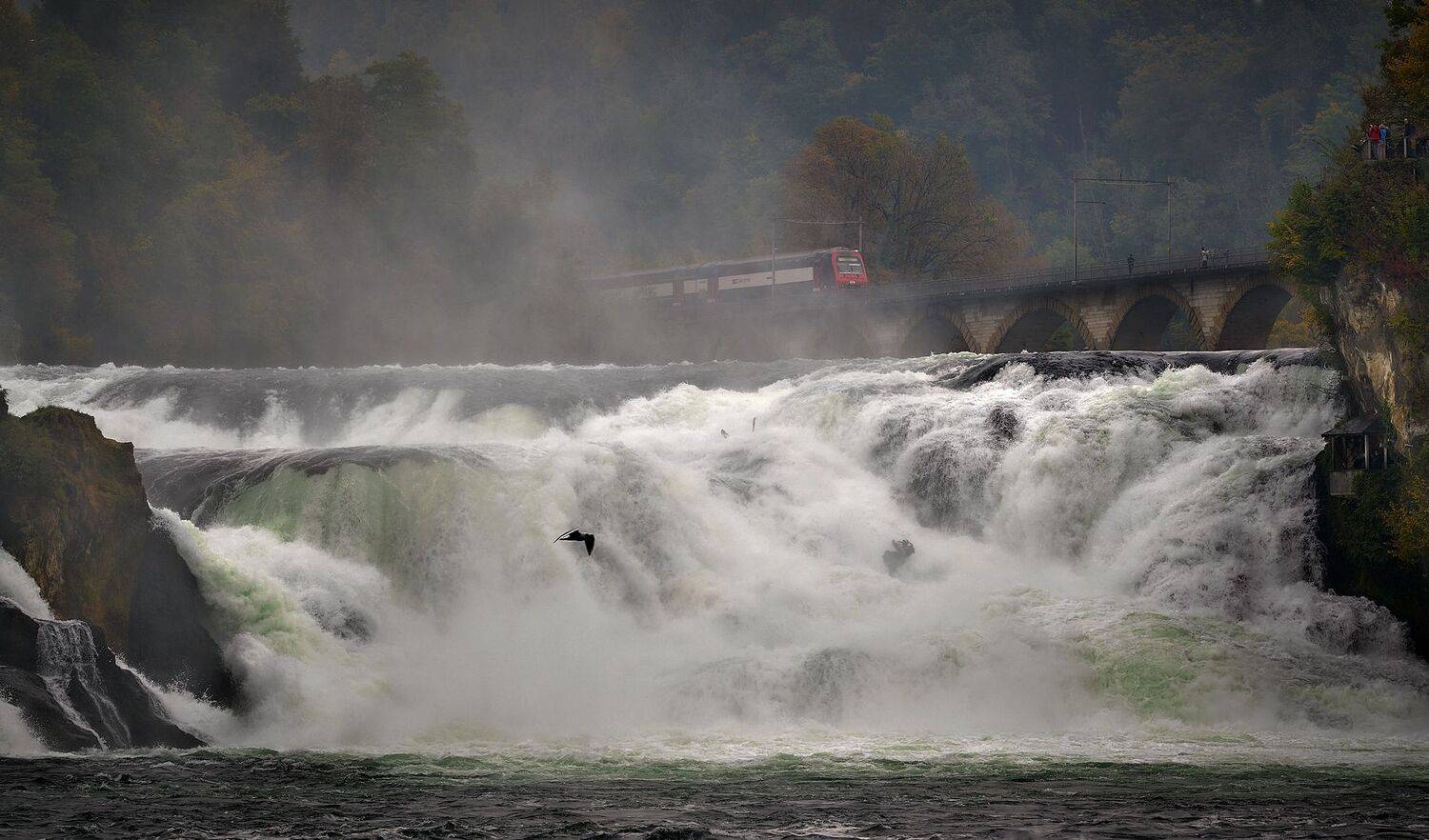 rhine falls, Boris Bekelman