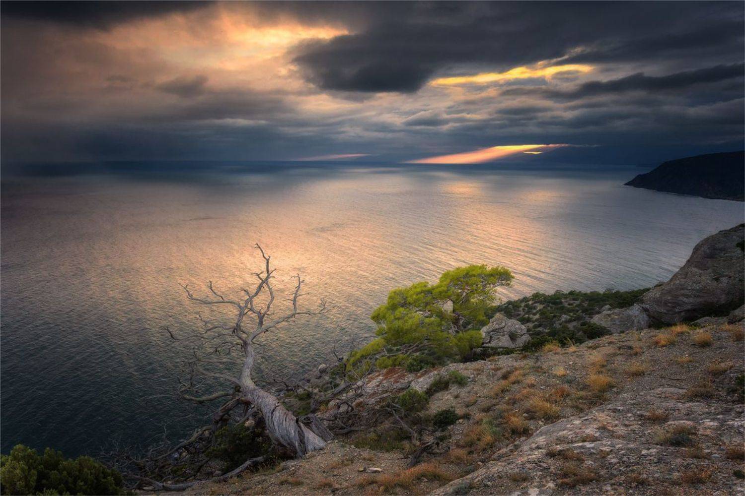 , Николай Бузмаков