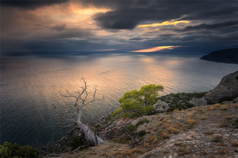 **** фото превью