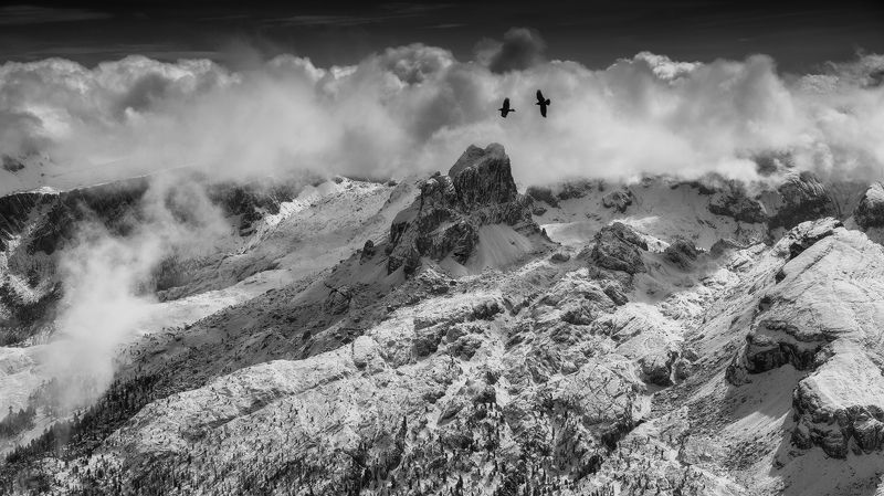 VIEW WITH TWO BIRDS фото превью