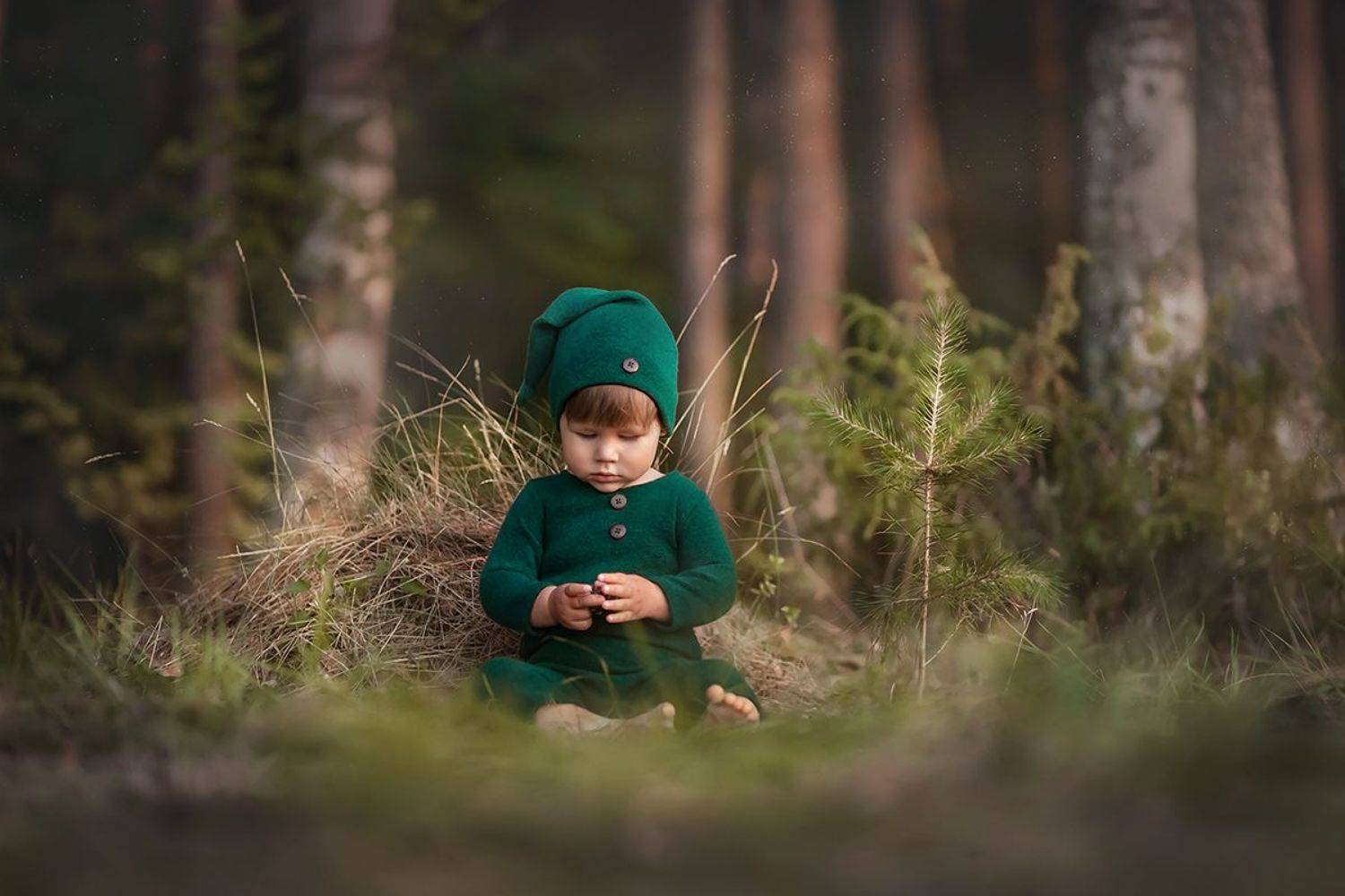ребенок, малыш, дети, мальчик, лес, природа, лето, Екатерина Петреева