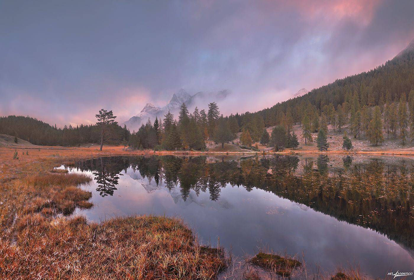 swiss, Матвеев Николай