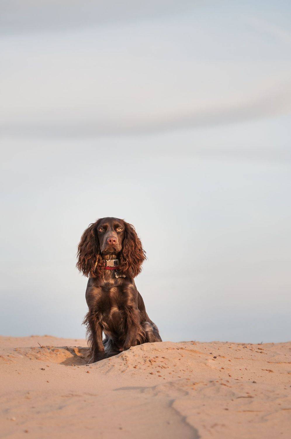 , Зуйкова Динара