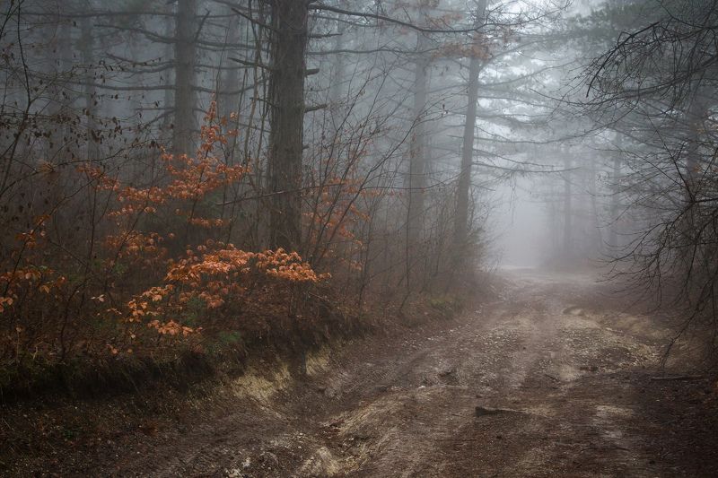 Поздняя осень... фото превью