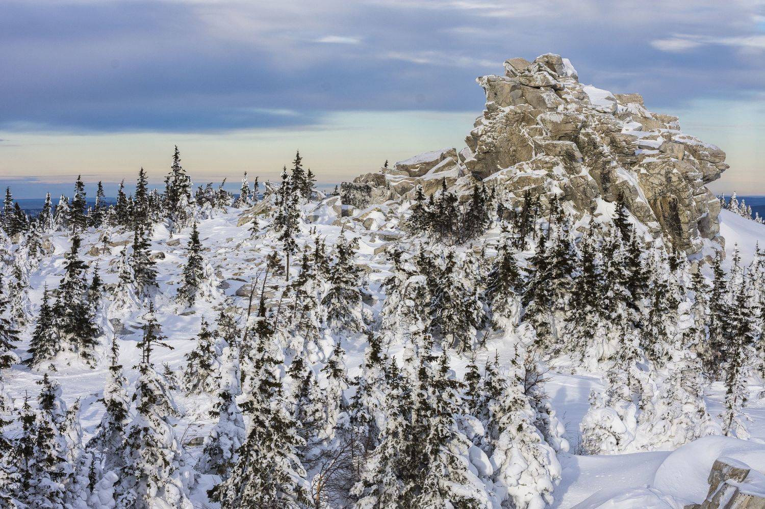 , Андрей Шарапов
