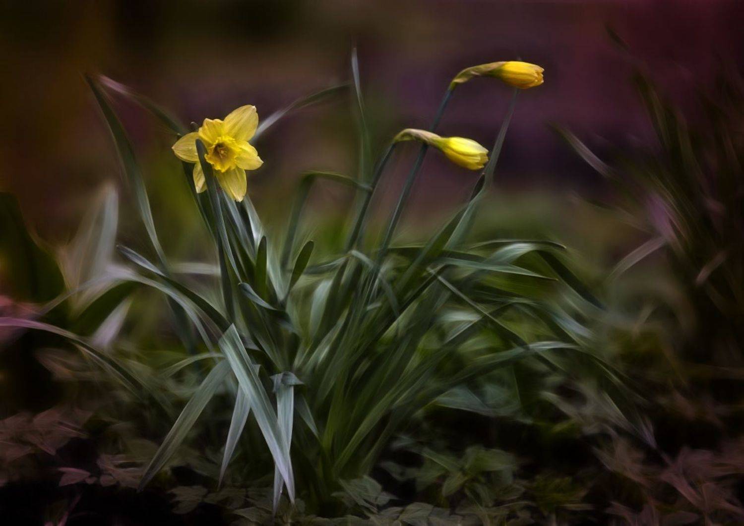 , Орлов Олег