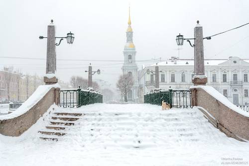 Метель...Заснеженный Петербург