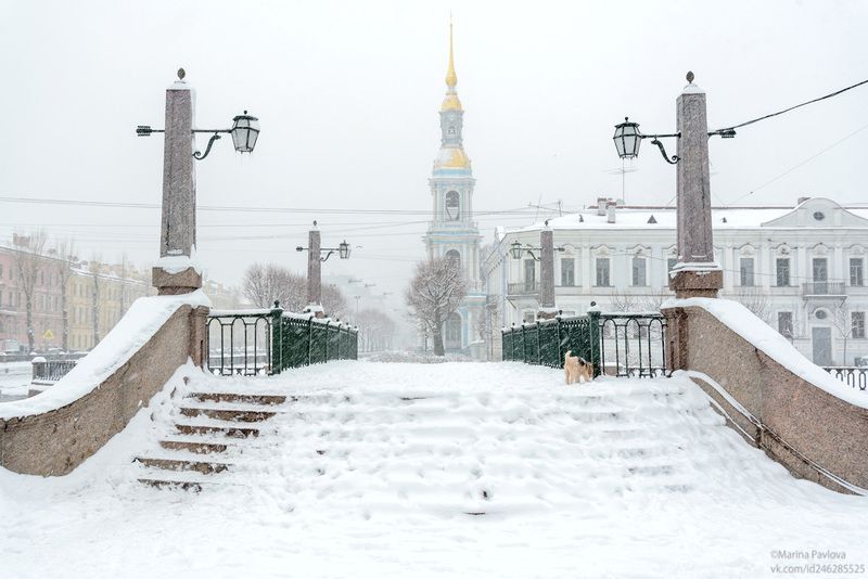 Метель...Заснеженный Петербург фото превью