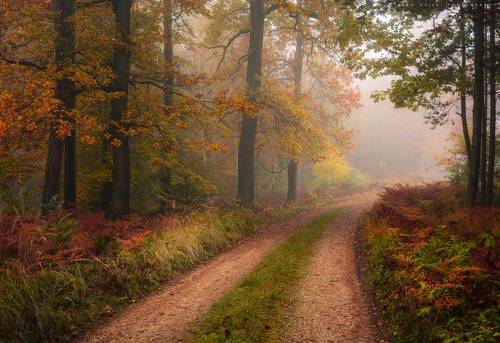 I like to get back on the autumn paths.