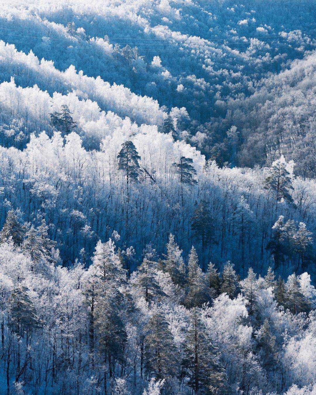 , Алексей Проняхин